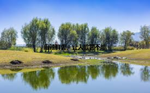 麻辣鲜香, 让人欲罢不能