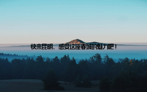 快来昆明, 感受这座春城的魅力吧!